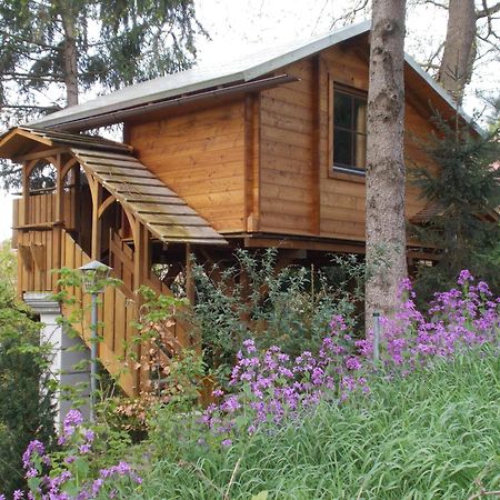 Baumhaus Wolfshoehle Fischach Ngoại thất bức ảnh